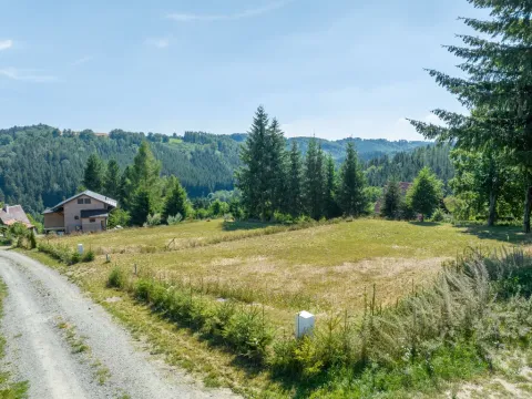 Prodej pozemku pro bydlení, Zábřeh - Dolní Bušínov, 829 m2