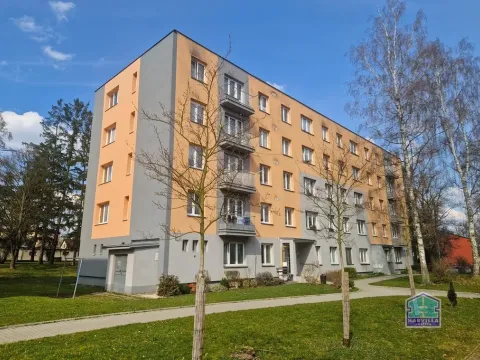 Prodej bytu 3+1, Stříbro, Brožíkova, 56 m2