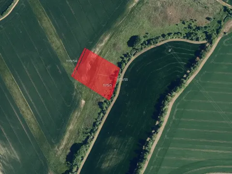 Prodej pole, Zdounky, 7967 m2