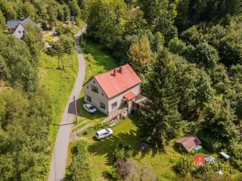 Prodej rodinného domu, Janov nad Nisou, 379 m2