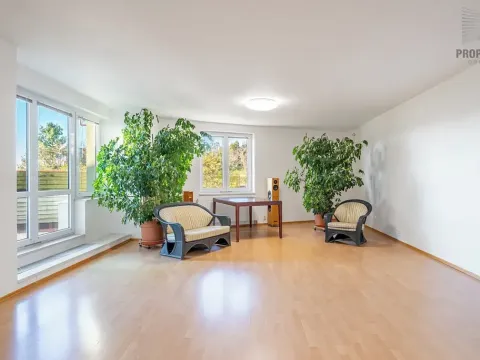 Prodej bytu 4+kk, Brno, Mojžíšova, 171 m2