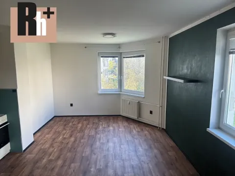 Pronájem bytu 1+kk, Ostrava, Horní, 36 m2