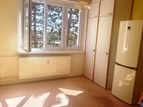 Pronájem bytu 1+1, Chomutov, Školní pěšina, 35 m2