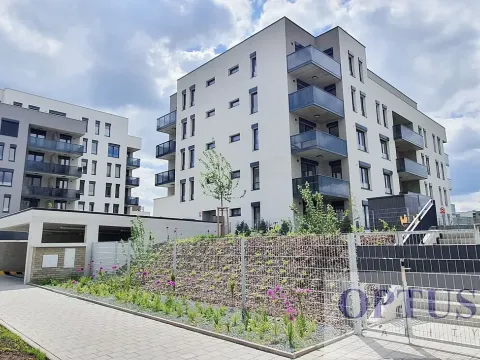 Pronájem bytu 3+kk, Praha - Hloubětín, Waltariho, 73 m2