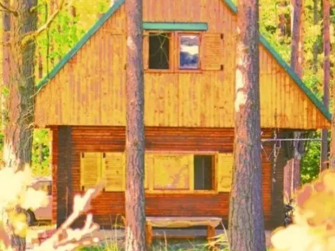 Prodej chaty, Staňkov, Staňkov, 39 m2