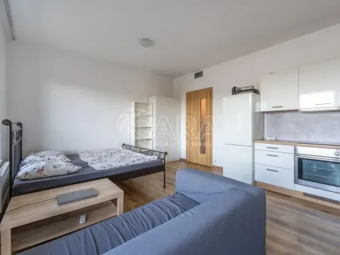 Pronájem bytu 1+kk, Brno - Židenice, Koperníkova, 35 m2