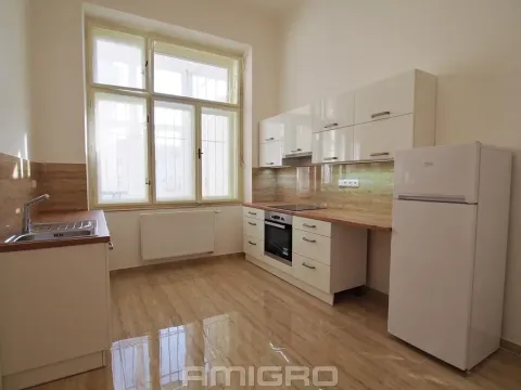 Pronájem bytu 1+1, Brno, Česká, 55 m2