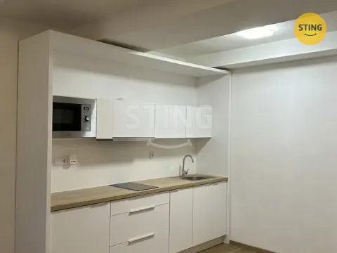 Pronájem bytu 1+kk, Ostrava, S. K. Neumanna, 30 m2
