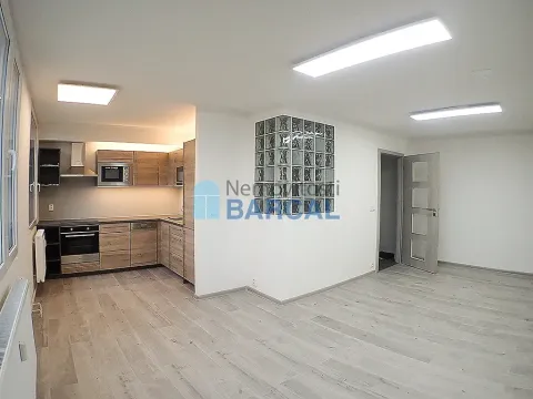 Pronájem bytu 1+kk, Praha - Kobylisy, Trousilova, 33 m2