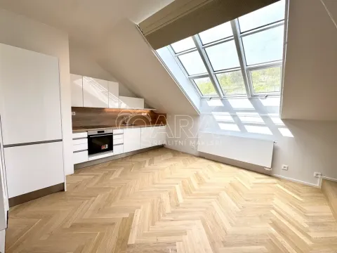 Pronájem atypického bytu, Praha - Smíchov, Holečkova, 56 m2