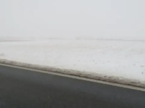 Dražba pole, Osová Bítýška, 1513 m2