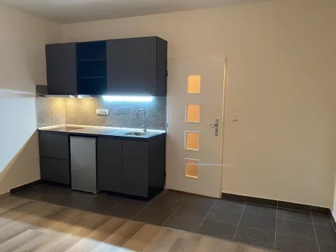 Pronájem bytu 1+kk, Praha - Vysočany, Freyova, 25 m2