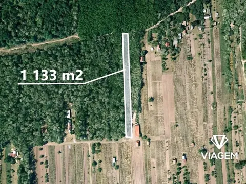 Prodej zahrady, Břeclav, 1133 m2