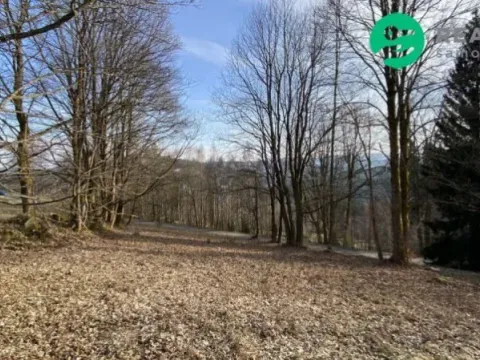 Prodej pozemku pro bydlení, Albrechtice v Jizerských horách, 1024 m2