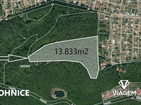 Prodej lesa, Praha - Bohnice, 13833 m2