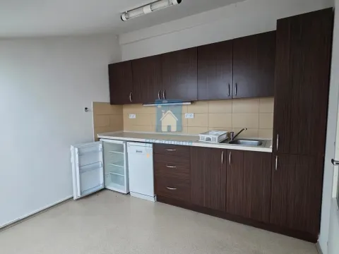 Pronájem bytu 4+1, Plzeň, Hálkova, 104 m2