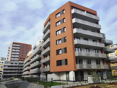 Pronájem bytu 1+kk, Praha - Vysočany, Kabešova, 44 m2
