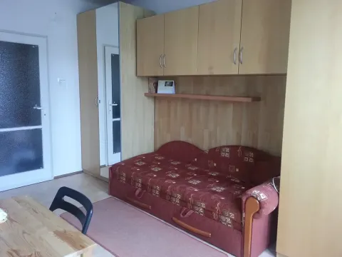 Pronájem bytu 1+kk, Praha - Vršovice, Jerevanská, 18 m2