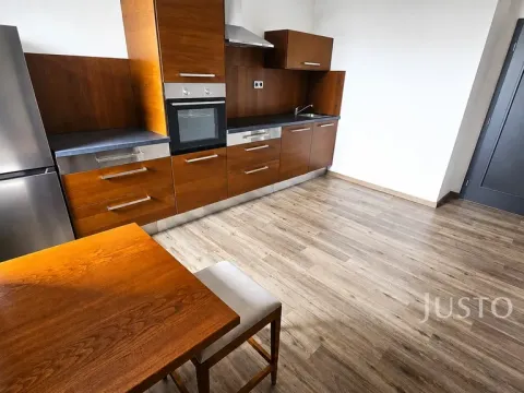 Pronájem bytu 1+1, Písek, Vladislavova, 40 m2
