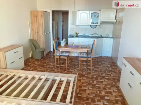 Pronájem bytu 1+kk, České Budějovice - České Budějovice 2, Labská, 27 m2