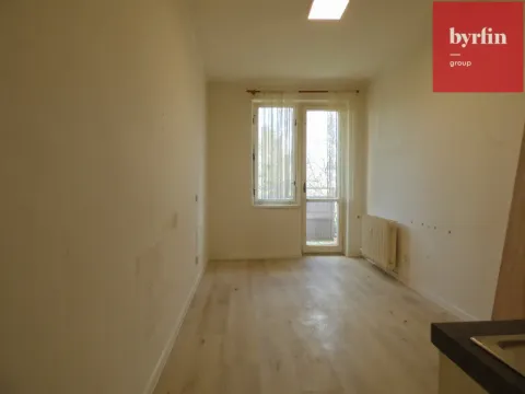 Pronájem bytu 1+kk, Opava, Haškova, 18 m2