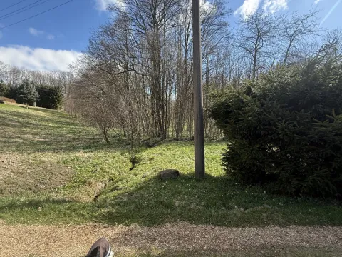 Prodej lesa, Výprachtice, 1892 m2