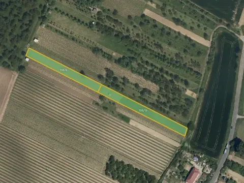 Prodej sadu/vinice, Svatobořice-Mistřín, 5062 m2