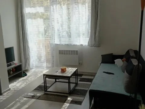 Pronájem bytu 3+1, Brno, Renneská třída, 42 m2