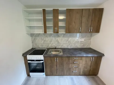 Pronájem bytu 1+1, Litvínov - Chudeřín, Horská, 42 m2