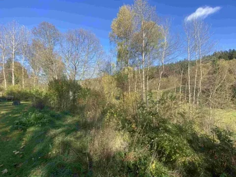 Dražba pozemku, Lučany nad Nisou, 449 m2