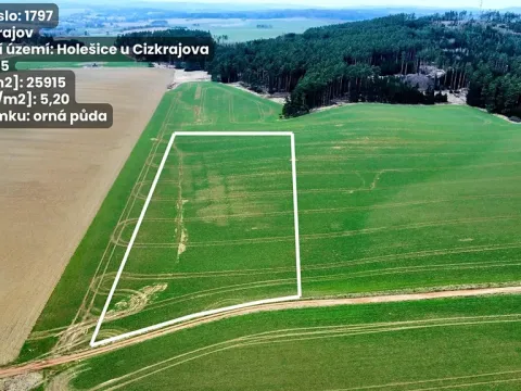Prodej pole, Cizkrajov, 25915 m2