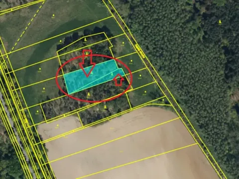 Prodej podílu lesa, Stéblová, 890 m2