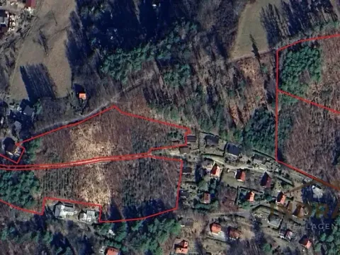 Prodej lesa, Velká Lhota, 28329 m2