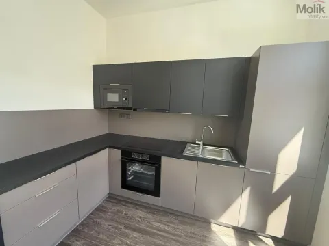 Pronájem bytu 2+1, Chomutov, 28. října, 65 m2