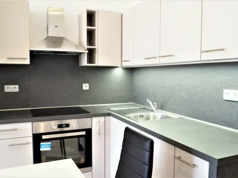 Pronájem bytu 1+kk, Brno, Božetěchova, 40 m2