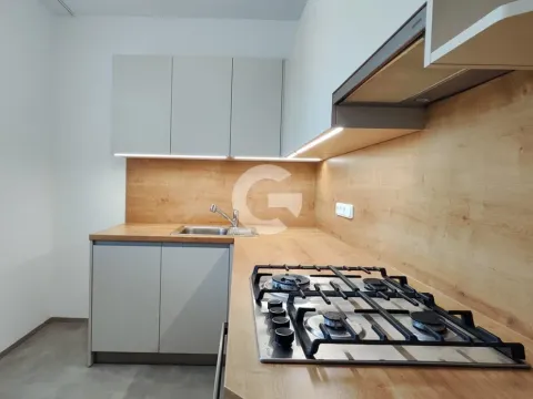 Pronájem bytu 2+1, Zlín, Dřevnická, 59 m2