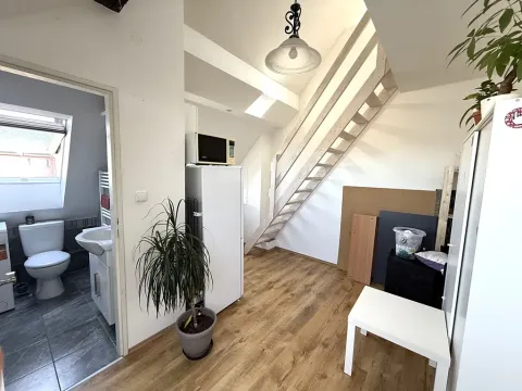 Pronájem bytu 2+kk, Brno, Řehořova, 26 m2