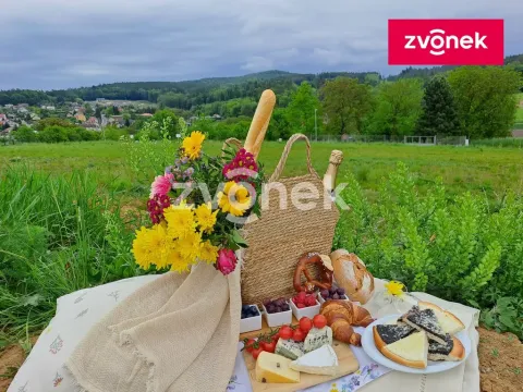 Prodej pozemku pro bydlení, Racková, 3280 m2