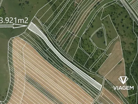 Prodej zahrady, Nenkovice, 3921 m2