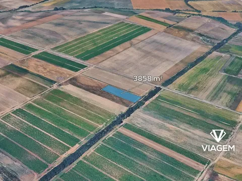 Prodej pole, Dřísy, 3858 m2