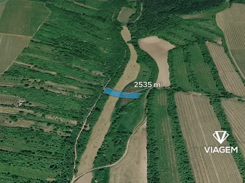 Prodej pole, Žarošice, 2535 m2