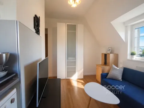Pronájem bytu 1+kk, Praha - Podolí, Pravá, 20 m2