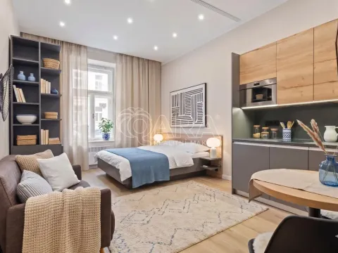 Prodej bytu 2+kk, Praha - Vinohrady, Mánesova, 45 m2