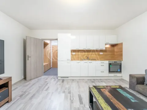 Pronájem bytu 1+kk, Brno - Líšeň, Ševelova, 30 m2
