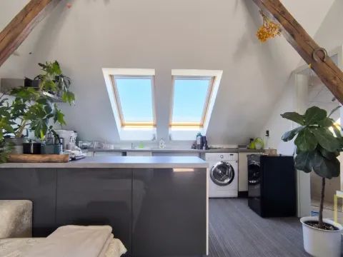 Pronájem bytu 1+kk, Brno - Veveří, Veveří, 48 m2