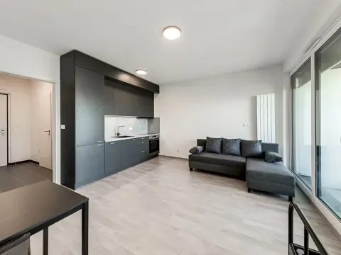 Pronájem bytu 1+kk, Praha - Žižkov, Olgy Havlové, 35 m2