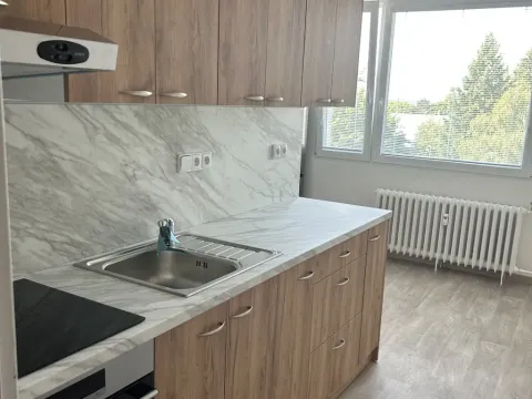 Prodej bytu 1+1, Lázně Bohdaneč, Na Lužci, 45 m2