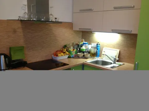 Pronájem bytu 1+kk, Brno - Žabovřesky, Horova, 31 m2