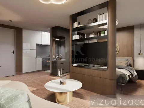 Prodej bytu 1+kk, Praha - Dolní Měcholupy, Honzíkova, 41 m2