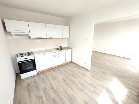 Prodej bytu 3+1, Most, Růžová, 56 m2
